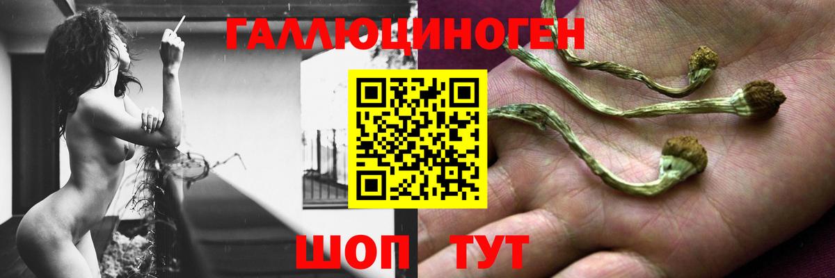 Галлюциногенные грибы мицелий  Вход с VPN  Гуково 